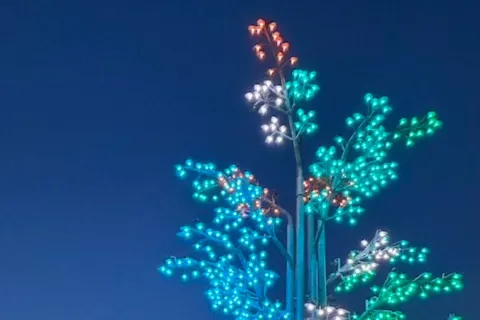 Así es el árbol luminoso del Parque de la Innovación: el valioso mensaje de concientización Así es el árbol luminoso que deslumbra en el Parque de la Innovación: el valioso mensaje de concientización.