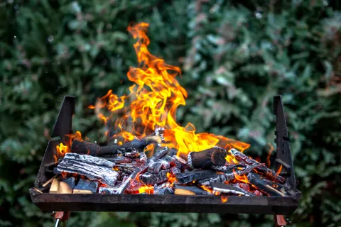 Cómo usar la ceniza del asado como abono a las plantas Las cenizas contienen magnesio, fósforo, calcio entre otros nutrientes.
