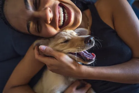 Cuidar a tus mascotas de la pirotecnia: las claves para protegerlas durante los festejos de fin de año Cómo cuidar a tus mascotas de la piroctenia.