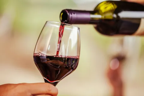 Día del Cabernet Franc: 10 botellas que vas a querer probar si te gustan los tintos 10 botellas para descubrir de Cabernet Franc.