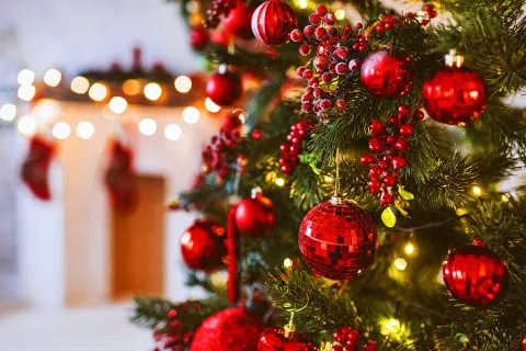 Deco navideña: cómo preparar tu casa para disfrutar de las fiestas de fin de año Arbol de Navidad: qué significa.