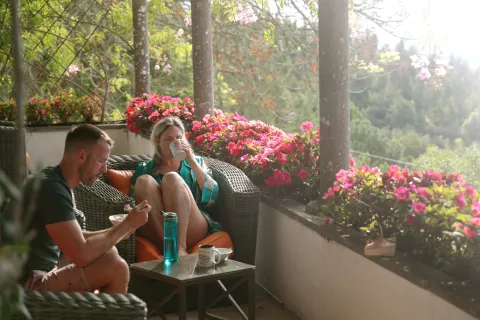 Si no da el sol en tu jardín, probá con estas 5 plantas llenas de flores que aman la sombra Algunas ideas de plantas con flores para diseñar tu espacio colorido y fresco como un buen antídoto para el calor.