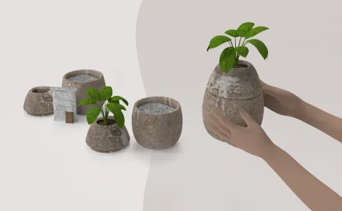 Un emprendimiento vende urnas biodegradables para las cenizas de las mascotas Urnas biodegradables para mascotas: ¿cómo funcionan y por qué resignifican la muerte?