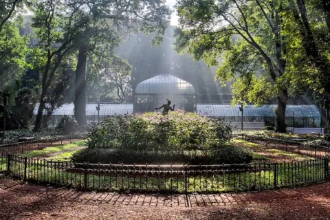 Un oasis fresco en Buenos Aires: este es el paseo en medio de la naturaleza donde la temperatura baja 5 grados Jardín Botánico en CABA