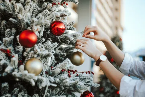 De acuerdo al feng shui, esta es la mejor manera de desarmar el arbolito para llamar a la abundancia Cómo desarmar el arbolito de Navidad, según el feng shui.