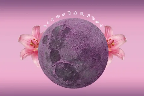 Fin de semana para el amor: ¿qué signos tendrán más chances de empezar una relación según la astrología? Signo por signo, qué te depara el amor para este fin de semana.