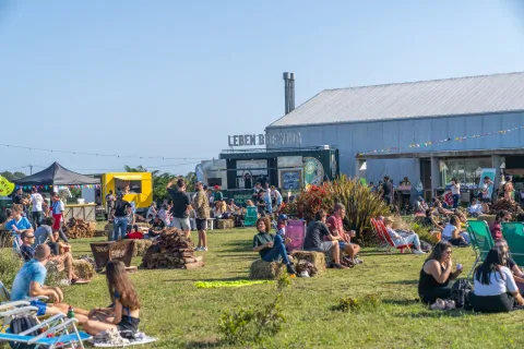 Mar del Plata: actividades culturales y espectáculos elegidos de enero La agenda cultural en Mar del Plata viene completa y cargada, para todo público y todos los bolsillos.