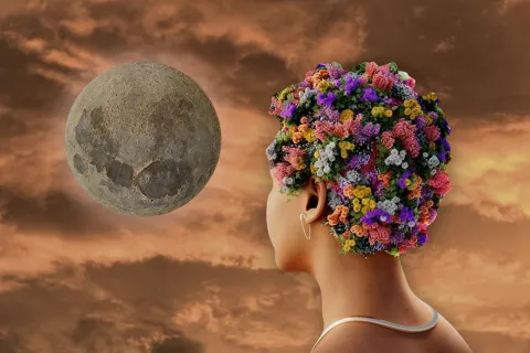 Así impacta la luna nueva en Acuario a cada uno de los signos Así impacta la luna nueva en Acuario a cada uno de los signos.