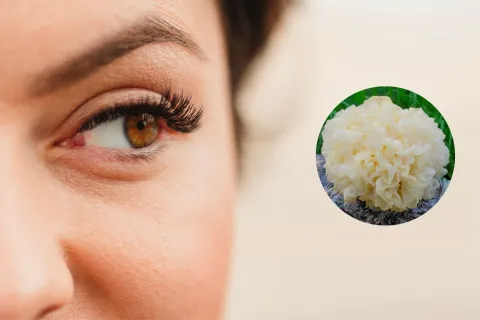 Una alternativa al ácido hialurónico: cómo es la tremella, el ingrediente estrella de la cosmética fungi Cosmética fungi: cuál es el hongo que podría reemplazar el ácido hialurónico.