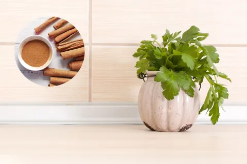 3 poderosos rituales con los que llamarás a la abundancia de manera instantánea 3 rituales súper poderosos para llamar a la abundancia.