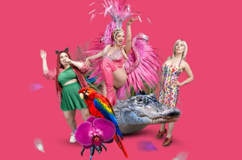 Teatro: 5 obras imperdibles de la cartelera de febrero para ver en Buenos Aires Potencia Gutiérrez, basada en un libro de Maruja Bustamante.