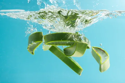 Agua de aloe vera: cómo hacerla y para qué sirve La receta definitiva: ¿cómo preparar agua de aloe vera?