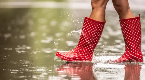 5 botas de lluvia de mujer para estar cómodas y cancheras Botas de lluvia cancheras y cómodas