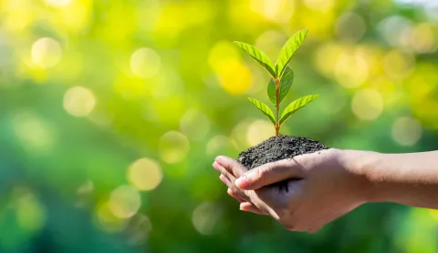 Día de la Tierra: ¿cómo podemos seguir luchando contra la crisis climática? Hoy es el Día de la Tierra y recordamos formas simples para cuidarla.
