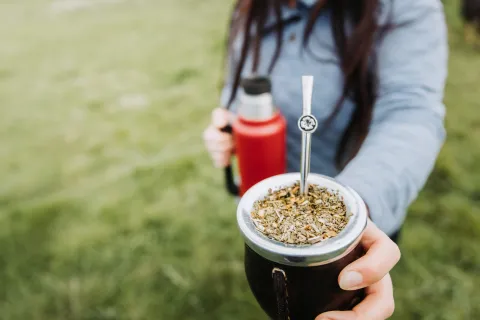 Mate de orégano: cuáles son los beneficios de la infusión que es furor en redes Mate con orégano: ¿cuáles son los beneficios de esta infusión?