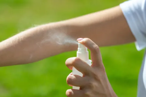 Cuáles son los mejores repelentes caseros para ahuyentar mosquitos.