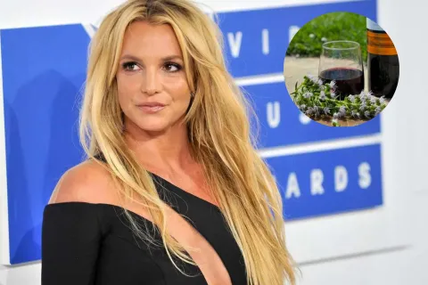 El vino argentino que fascinó a Britney Spears y revolucionó a las redes Britney Spears quedó fascinada con un vino argentino.