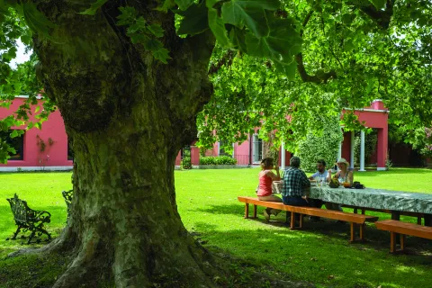 6 lugares para escapadas al campo si querés aprovechar el finde a pura naturaleza sanmiguel_2.jpg