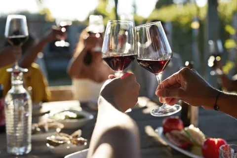 Día Mundial del Malbec: ¿por qué se conmemora cada 17 de abril? Día del Malbec: por qué se conmemora.