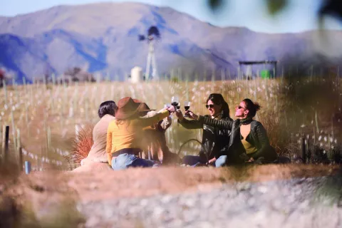 Vacaciones de invierno: la ruta del vino cordobés que tenés que conocer La ruta del vino en Córdoba.