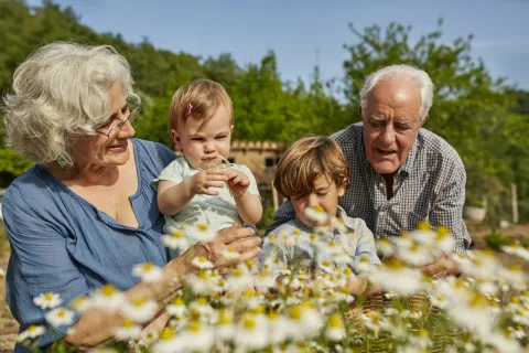 Día de los Abuelos: ¿por qué se celebra el 26 de julio en Argentina? Día de los Abuelos: por qué se celebra el 26 de julio.