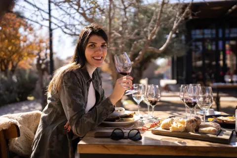Mendoza: los 10 imperdibles si visitás esta provincia Mendoza: los mejores lugares para conocer en la provincia.
