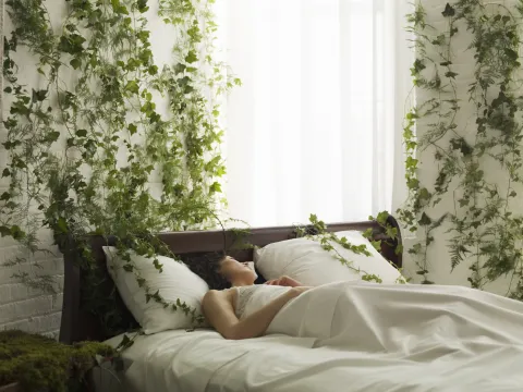 Ideas simples e innovadoras para decorar tu dormitorio Personalizar una pared de tu dormitorio puede renovar todo el espacio.