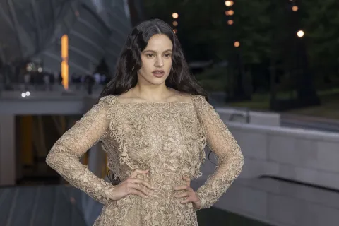 Rosalía mostró inesperadamente una canción inédita de su nuevo disco La cantante española compartió en sus redes un anticipo de lo que será su nuevo tema musical y dejó atónitos a todo su fandom.