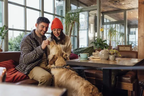 ¿Querés llevar a tu perro a una primera cita? El secreto para que te vaya bien ¿Querés llevar a tu perro a una cita romántica? El secreto para que te vaya bien.