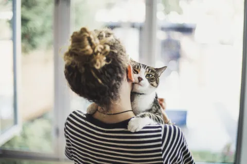 Qué significa cuando un gato mueve la cola de cierta manera Entre los mitos comunes se encuentra la idea de que el gato cuando tiene la cola erguida e hinchada te va a atacar.