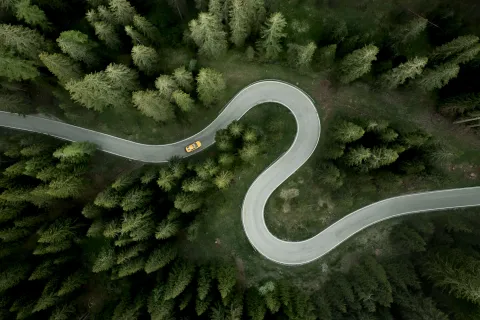 Test visual: de acuerdo al camino que elijas, descubrirás tu mayor motivación camino con curvas en el medio de un bosque.
