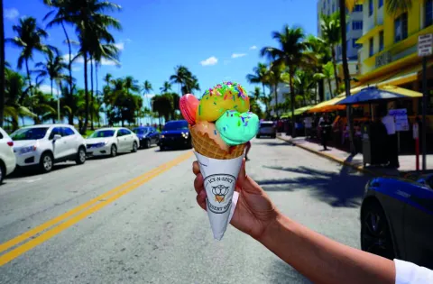 Miami: qué hacer con los chicos en uno de los destinos más cool de 2024 Miami: qué hacer con los chicos en uno de los destinos más cool de 2024