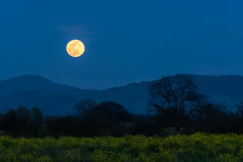 Después de la superluna azul, ¿cuándo será la próxima luna llena más inusual del año? Se viene una superluna que sorprenderá por su tamaño, su nombre, su fecha y su influencia en otras lunas llenas.