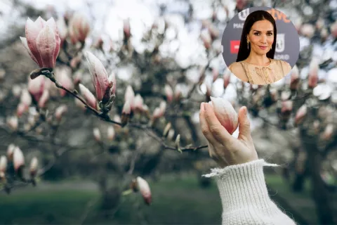 Las dos plantas de Natalia Oreiro que vas a querer tener antes de primavera en tu jardín La magnolia fucsia es una de las plantas preferidas de Nati Oreiro