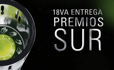 Premios Sur 2024 EN VIVO: ganadores y mejores momentos de la gran fiesta del cine argentino Póster de los Premios Sur 2024.