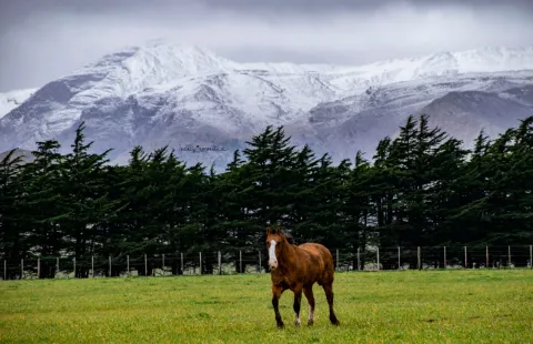 Nevó en Sierra de la Ventana: cómo es este destino ideal para una escapada cerca de Buenos Aires Nevó en Sierra de la Ventana: ¿qué podés hacer si te vas de escapada?