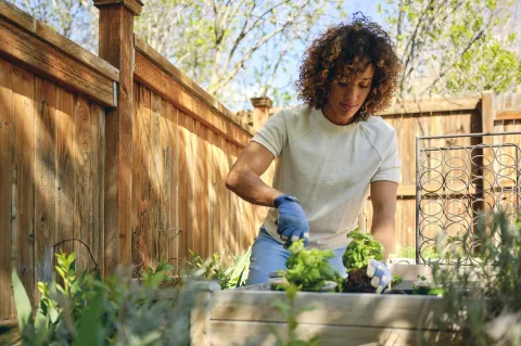 Huerta en primavera: ¿qué sembrar en septiembre? Huerta en primavera: ¿qué sembrar en septiembre?