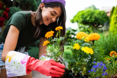 Las plantas que no deberías tener porque atraen a los mosquitos Existen plantas y flores que no conviene tener en casa porque atraen mosquitos, moscas y otros insectos.