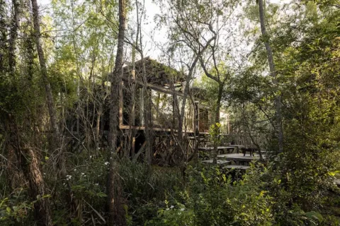 Casas en la naturaleza: 4 lugares integrados al verde Una casa a orillas del Paraná que se mete en medio de la vegetación frondosa.