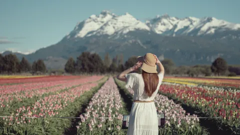 Estos son los mejores destinos de Argentina para viajar en primavera Tulipanes