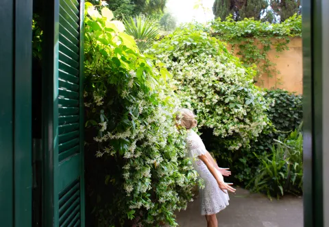 Plantas que perfuman: 5 ideas para tu jardín, patio o terraza Naturaleza pura: el mejor aromatizador