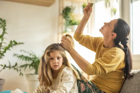 ¿Tu hijo tiene piojos? De lociones a un peine eléctrico, estas son las mejores opciones para combatirlos Las mejores alternativas para eliminar los piojos