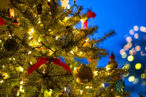 Adiós a las luces de colores: las nuevas tendencias para la Navidad 2024 árbol de navidad