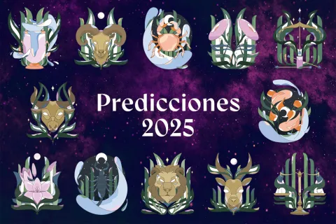 Predicciones 2025: descubrí lo que se viene en el horóscopo de tu signo para el próximo año Los símbolos de los 12 signos zodiacales.
