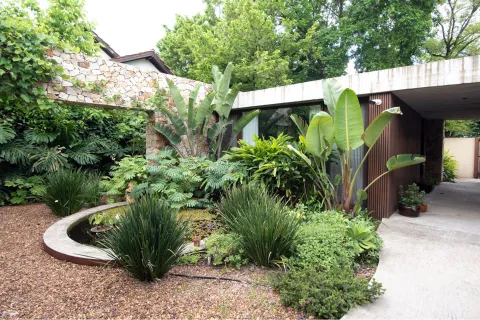 5 plantas tropicales para transformar tu jardín o tu patio Las plantas tropicales no solo intervienen en el paisaje sino que además traen muchos beneficios.