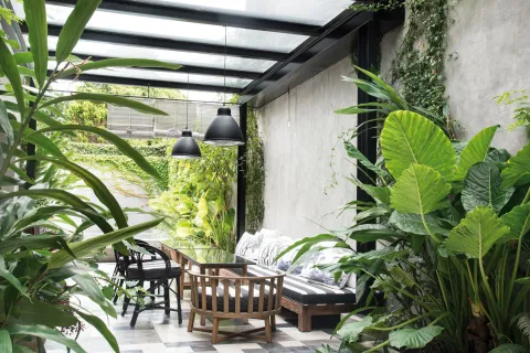 7 plantas tropicales para un patio con sombra Con sombra o media sombra, especies que igual crecen y dan verdor al ambiente exterior.