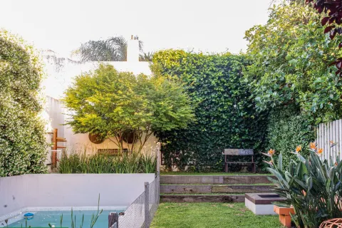 Cercos y medianeras: 4 plantas trepadoras que crecen muy rápido y dan flores Las plantas tupidas son el límite natural de un jardín.