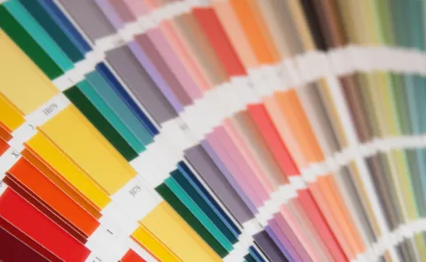 Pantone reveló cuál será el color del 2025: así se llevará color pantone 2025