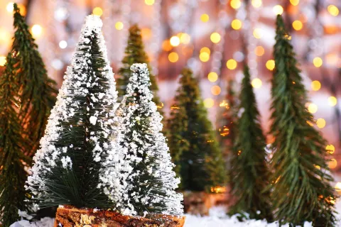 Test de personalidad: qué tipo de persona sos según el árbol de Navidad que elijas árboles de Navidad