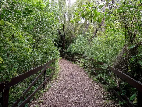 La reserva ecológica de Vicente López, un paseo ideal si estás en Buenos Aires Reserva ecológica de Vicente López
